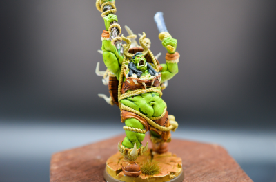 Shamane orc